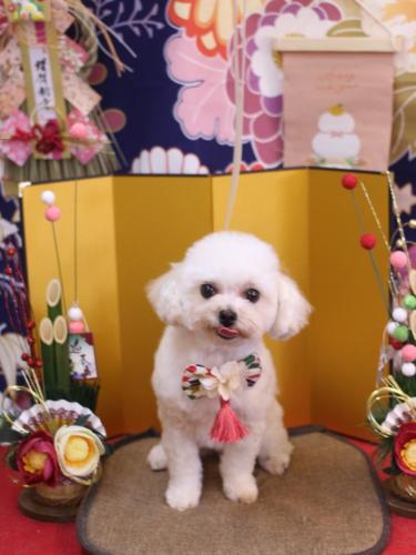 20240131シェリーちゃん